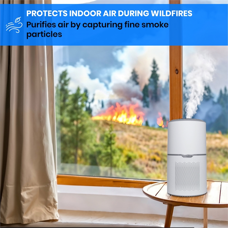 Equator 4.6lbs air purifier and air sterilizer/quiet standing with smoke removal