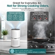 Equator 4.6lbs air purifier and air sterilizer/quiet standing with smoke removal