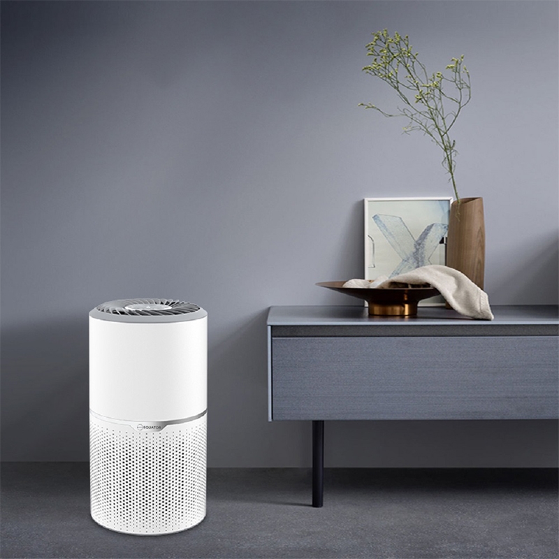 Equator 4.6lbs air purifier and air sterilizer/quiet standing with smoke removal