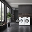 Equator ADVANCED STACK LAUNDRY 220V 26 Lb Washer 2.5cf+Vented Dryer 4cf 1 OUTLET