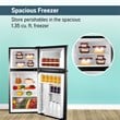 ConServ 4.5cu.ft 2 Door Mini Freestanding Refrigerator with Freezer in Stainless