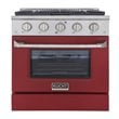 Kucht Professional 30
