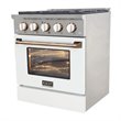 Kucht Professional 30