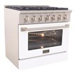 Kucht Professional 36