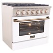 Kucht Professional 36