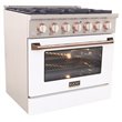 Kucht Professional 36