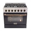 Kucht Professional 36