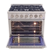 Kucht Professional Bundle 36