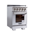 Professional 24-in Propane Gas Range in Stainless Steel with True Simmer Burners