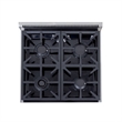 Professional 24-in Propane Gas Range in Stainless Steel with True Simmer Burners