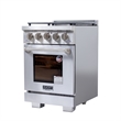 Professional 24-in Propane Gas Range in Stainless Steel with True Simmer Burners