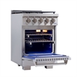 Professional 24-in Propane Gas Range in Stainless Steel with True Simmer Burners