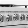 Professional 24-in Propane Gas Range in Stainless Steel with True Simmer Burners