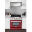 30 in. 4.2 cu. ft. Dual Fuel Range Propane Gas Sealed Burners in Red.