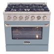 36 in. 5.2 cu. ft Dual Fuel Range for Propane Gas Sealed Burners in Light Blue.