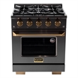 30 in. 5.2 cu. ft. Dual Fuel Range Natural Gas in Titanium Stainless Steel