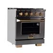 30 in. 5.2 cu. ft. Dual Fuel Range Natural Gas in Titanium Stainless Steel