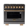 36 in. 5.2 cu. ft. Dual Fuel Range Natural Gas Sealed Burners Titanium Stainless