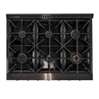 36 in. 5.2 cu. ft. Dual Fuel Range Natural Gas Sealed Burners Titanium Stainless