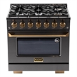 36 in. 5.2 cu. ft. Dual Fuel Range Natural Gas Sealed Burners Titanium Stainless