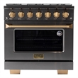 36 in. 5.2 cu. ft. Dual Fuel Range for Propane Gas in Titanium Stainless Steel