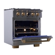 30 in. 4.2 cu. ft. 4 Burners Dual Fuel Range for Natural Gas in Stainless Steel