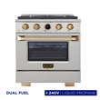 30 in. 4.2 cu.ft. 4-Burners Dual Fuel Range Propane Gas in Stainless Steel Steel