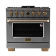 36 in. 5.2 cu. ft. 6 Burners Dual Fuel Range for Propane Gas in Stainless Steel