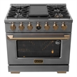 36 in. 5.2 cu. ft. 6 Burners Dual Fuel Range for Propane Gas in Stainless Steel