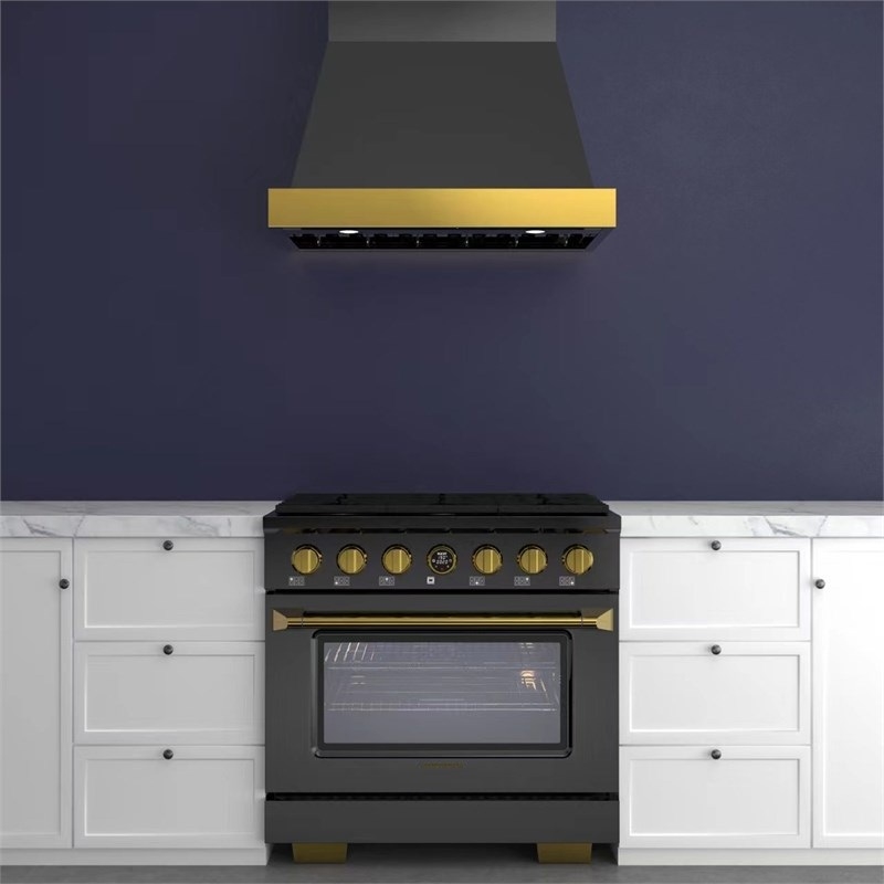 36 in. 5.2 cu. ft. Dual Fuel Range for Natural Gas in Dark Stainless Steel.