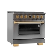 36 in. 5.2 cu. ft. Dual Fuel Range for Natural Gas in Dark Stainless Steel.