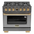 36 in. 5.2 cu. ft. Dual Fuel Range for Natural Gas in Dark Stainless Steel.
