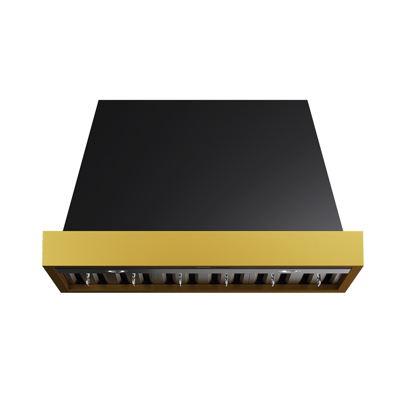 30 in. 600 CFM Wall Mounted Range Hood in Titanium Stainless Steel with Gold