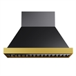 48 in. 800 CFM Wall Mounted Range Hood in Titanium Stainless Steel with Gold