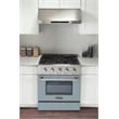 30 in. 4.2 cu. ft. Natural Gas Range with Convection Oven in Light Blue