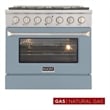 30 in. 4.2 cu. ft. Natural Gas Range with Convection Oven in Light Blue