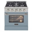 30 in. 4.2 cu. ft. Natural Gas Range with Convection Oven in Light Blue