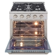 30 in. 4.2 cu. ft. Natural Gas Range with Convection Oven in Light Blue
