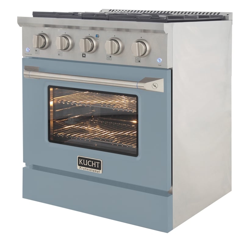 30 in. 4.2 cu. ft. Natural Gas Range with Convection Oven in Light Blue