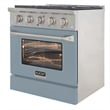 30 in. 4.2 cu. ft. Natural Gas Range with Convection Oven in Light Blue