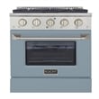 30 in. 4.2 cu. ft. Natural Gas Range with Convection Oven in Light Blue