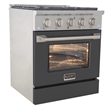 30 in. 4.2 cu. ft. Propane Gas Range with Convection Oven in Cement Gray