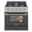 30 in. 4.2 cu. ft. Propane Gas Range with Convection Oven in Cement Gray