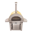 VENICE Outdoor Wood Fired Pizza Oven in Yellow