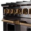 Gemstone 48 in. 6.7 cu. Propane Gas Range in Titanium SS + Wall Mount Range Hood