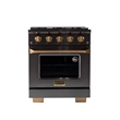 Gemstone 30 in. 4.2. Dual Fuel Range  in Titanium SS + Under Cabinet Range Hood