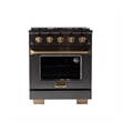 30 in. Dual Fuel Range for Propane Gas in Titanium SS + Wall Mount Range Hood