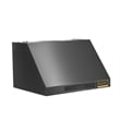 36 in Dual Fuel Range for Natural Gas in Titanium SS + Under Cabinet Range Hood