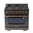 36 in Dual Fuel Range for Natural Gas in Titanium SS + Under Cabinet Range Hood