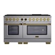 Dual Fuel Range for Natural Gas in Stainless Steel Gold Under Cabinet Range Hood